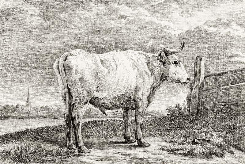 Standing bull (1817) by Jean Bernard (1775… | Free public domain illustration Standing bull (1817) by Jean Bernard (1775-1883). Original from The Rijksmuseum. Digitally enhanced by rawpixel.