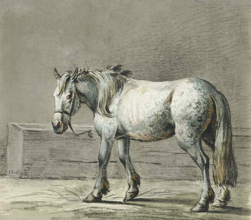 Standing horse (1810 - 1816) by Jean Bernard (1775-1883). Original from the Rijks Museum. Digitally enhanced by rawpixel.