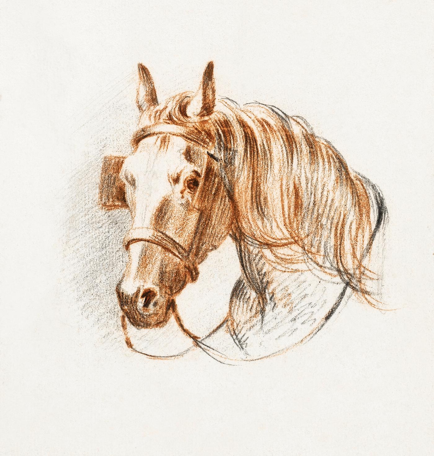 Head of a horse with blinkers by Jean Bernard (1775-1883). Original from the Rijks Museum. Digitally enhanced by rawpixel. Head of a horse with blinkers by Jean Bernard (1775-1883). Original from the Rijks Museum. Digitally enhanced by rawpixel.