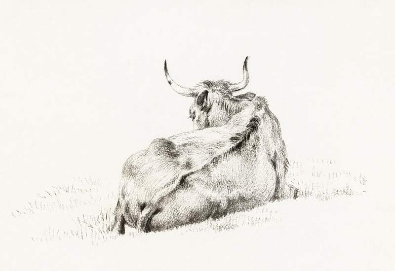 Lying cow (1815) by Jean Bernard (1775-1883).… | Free public domain illustration Lying cow (1815) by Jean Bernard (1775-1883). Original from The Rijksmuseum. Digitally enhanced by rawpixel.