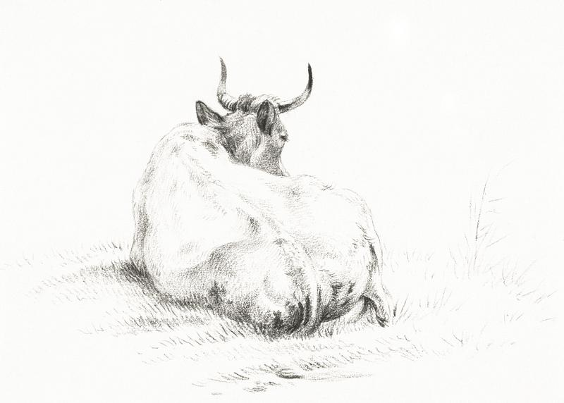 Lying cow (1821) by Jean Bernard (1775-1883). Original from The Rijksmuseum. Digitally enhanced by rawpixel. Lying cow (1821) by Jean Bernard (1775-1883). Original from The Rijksmuseum. Digitally enhanced by rawpixel.