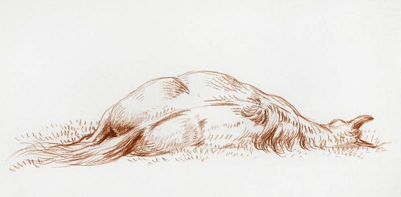 Lying horse by Jean Bernard (1775-1883). Original from the Rijks Museum. Digitally enhanced by rawpixel.