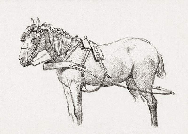 Standing harnessed horse (1815) by Jean… | Free public domain illustration Standing harnessed horse (1815) by Jean Bernard (1775-1883). Original from The Rijksmuseum. Digitally enhanced by rawpixel.