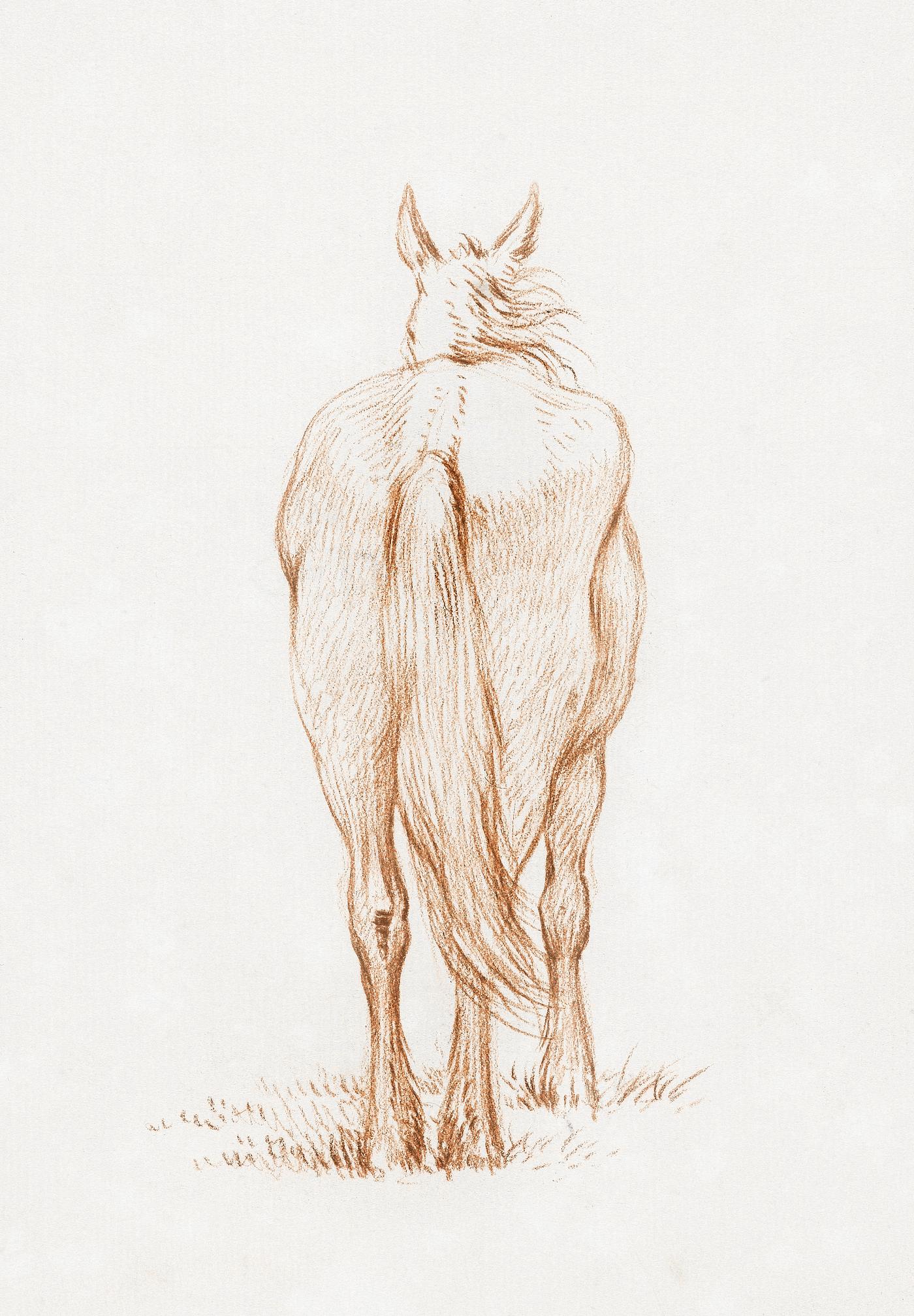 Standing horse (1815) by Jean Bernard (1775-1883). Original from The Rijksmuseum. Digitally enhanced by rawpixel. Standing horse (1815) by Jean Bernard (1775-1883). Original from The Rijksmuseum. Digitally enhanced by rawpixel.