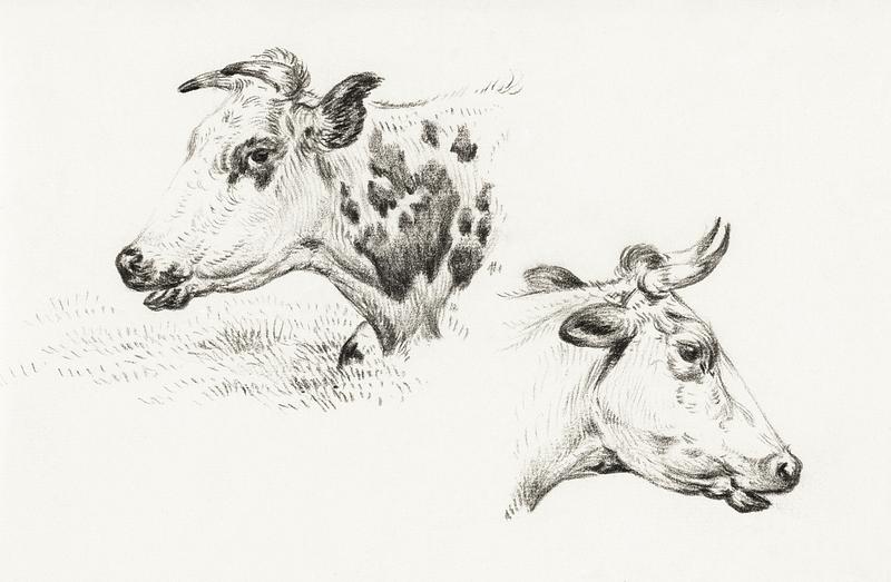 Two studies of the head of a cow (1825) by Jean Bernard (1775-1883). Original from The Rijksmuseum. Digitally enhanced by rawpixel. Two studies of the head of a cow (1825) by Jean Bernard (1775-1883). Original from The Rijksmuseum. Digitally enhanced by…