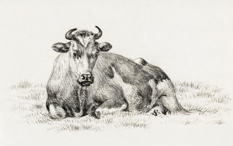 Lying cow (1825) by Jean Bernard (1775-1883). Original from The Rijksmuseum. Digitally enhanced by rawpixel. Lying cow (1825) by Jean Bernard (1775-1883). Original from The Rijksmuseum. Digitally enhanced by rawpixel.