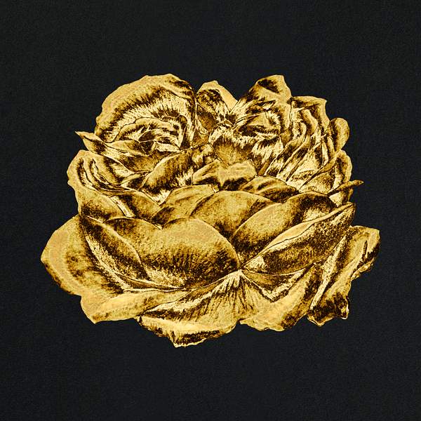 Gold Rose Flower Design Element Royalty Free Illustration