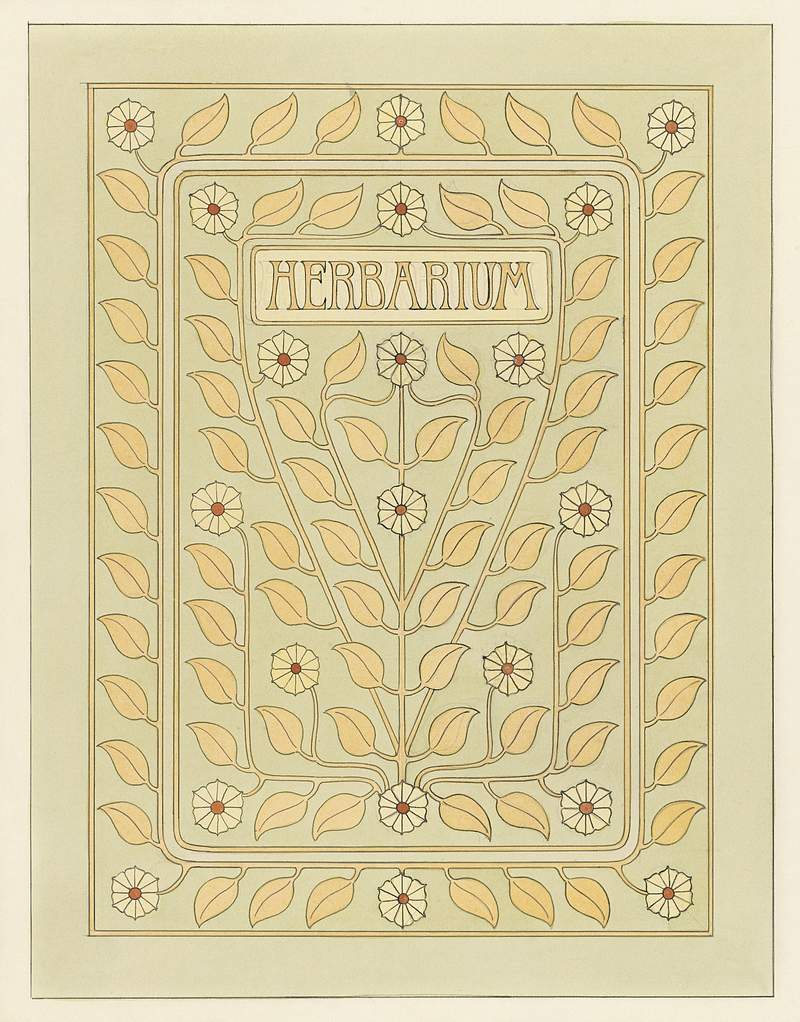Design for Herbarium book cover by Julie de Graag (1877-1924). Original from The Rijksmuseum. Digitally enhanced by rawpixel.