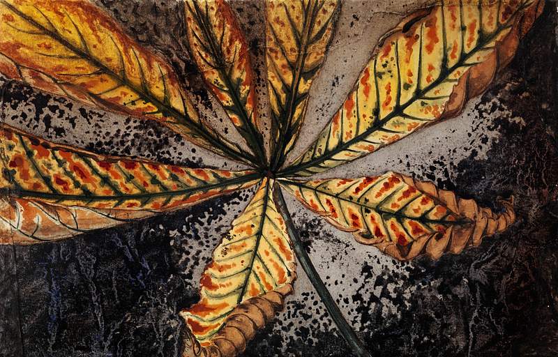 Chestnut leaf by Julie de Graag (1877-1924). Original from The Rijksmuseum. Digitally enhanced by rawpixel.