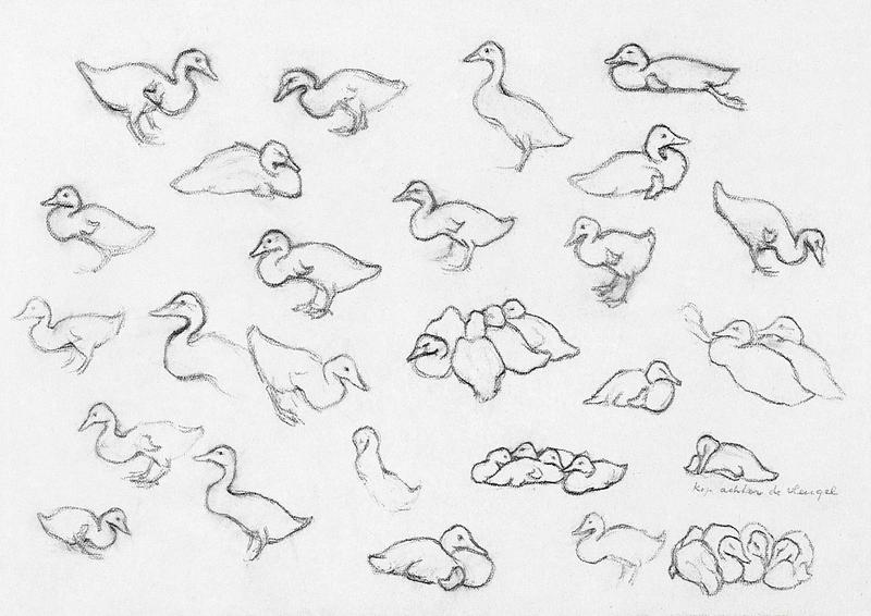 Study sketch of ducks by Julie de Graag (1877-1924). Original from the Rijks Museum. Digitally enhanced by rawpixel. Study sketch of ducks by Julie de Graag (1877-1924). Original from the Rijks Museum. Digitally enhanced by rawpixel.