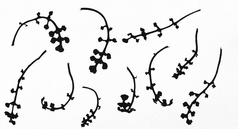 Root rosettes of the Pentecostal flower by Julie de Graag (1877-1924). Original from the Rijks Museum. Digitally enhanced by rawpixel. Root rosettes of the Pentecostal flower by Julie de Graag (1877-1924). Original from the Rijks Museum. Digitally enhanced by…