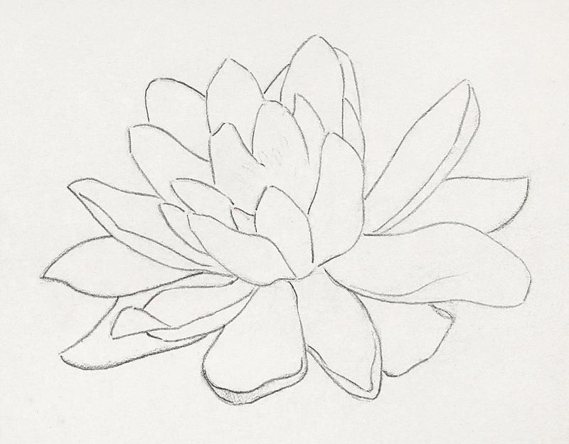 Flower, possibly a water lily (1894) by Julie de Graag (1877-1924). Original from the Rijks Museum. Digitally enhanced by rawpixel. Flower, possibly a water lily (1894) by Julie de Graag (1877-1924). Original from the Rijks Museum. Digitally enhanced by…