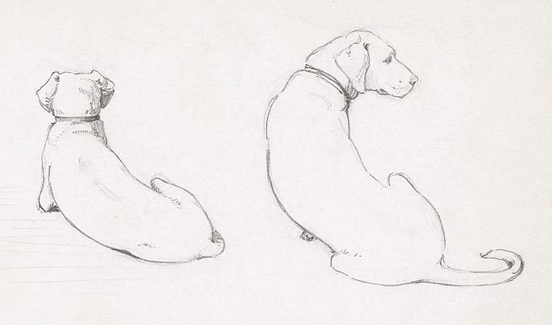 Lying dog (1894) by Julie de Graag (1877-1924). Original from The Rijksmuseum. Digitally enhanced by rawpixel.