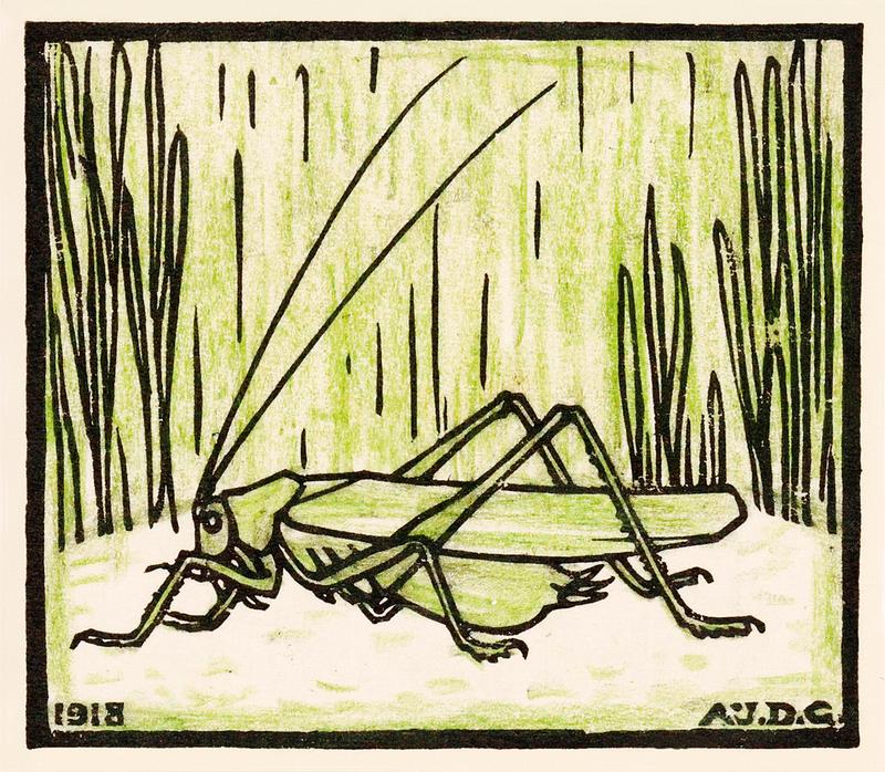 Grasshopper (1918) by Julie de Graag (1877-1924). Original from the Rijks Museum. Digitally enhanced by rawpixel. Grasshopper (1918) by Julie de Graag (1877-1924). Original from the Rijks Museum. Digitally enhanced by rawpixel.