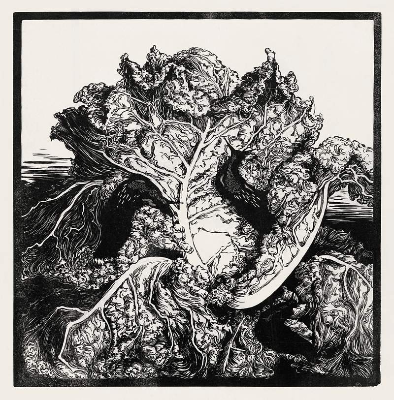 Three slugs on a cabbage by Julie de Graag (1877-1924). Original from The Rijksmuseum. Digitally enhanced by rawpixel.
