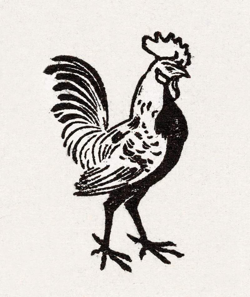 Rooster (1901) by Julie de Graag (1877-1924). Original from The Rijksmuseum. Digitally enhanced by rawpixel.