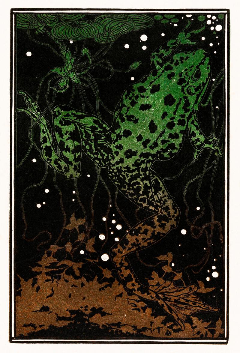 Swimming frog by Julie de Graag (1877-1924). Original from the Rijks Museum. Digitally enhanced by rawpixel Swimming frog by Julie de Graag (1877-1924). Original from the Rijks Museum. Digitally enhanced by rawpixel
