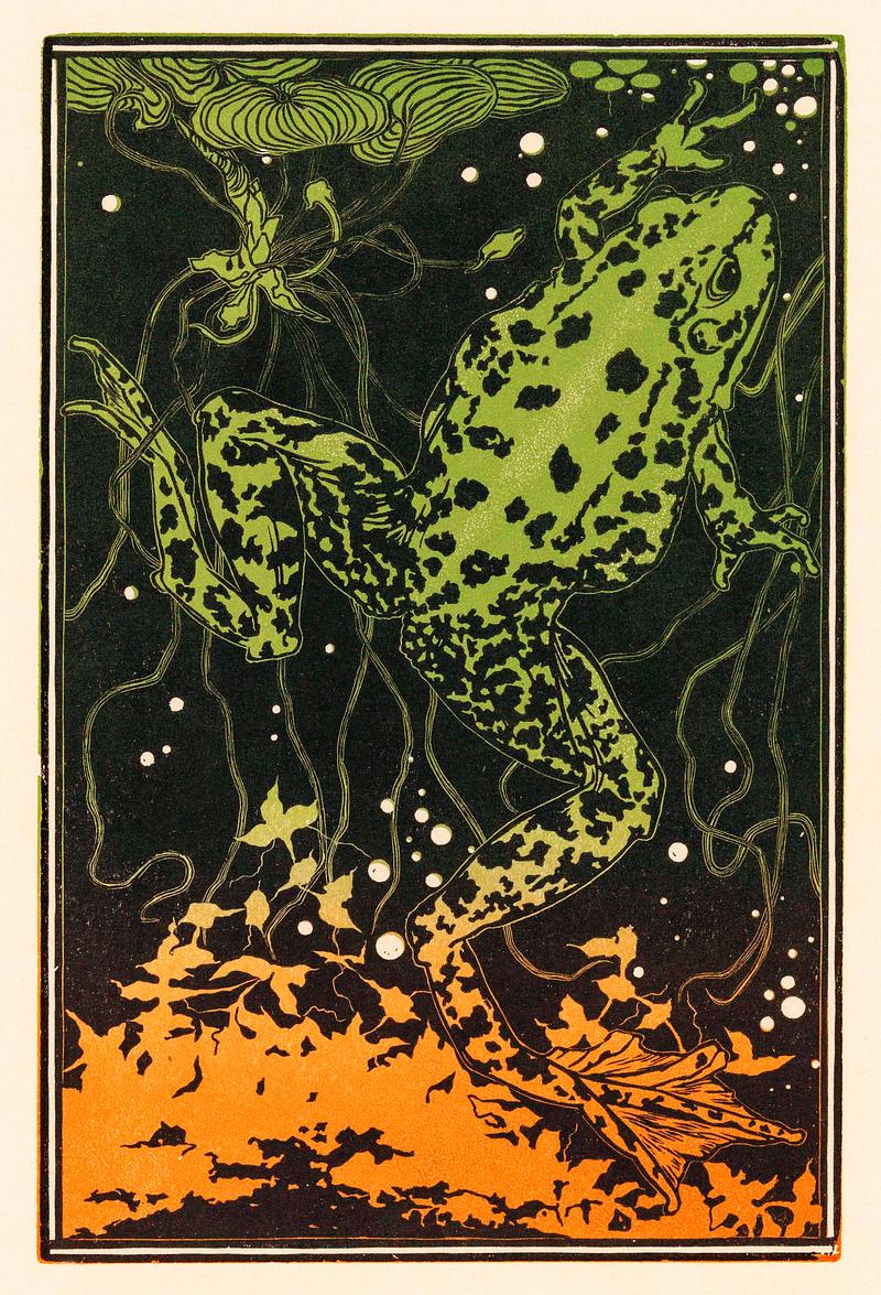 Swimming frog byJulie de Graag (1877-1924). Original from the Rijks Museum. Digitally enhanced by rawpixel Swimming frog byJulie de Graag (1877-1924). Original from the Rijks Museum. Digitally enhanced by rawpixel