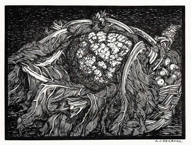 Cauliflower by Julie de Graag (1877-1924). Original from the Rijks Museum. Digitally enhanced by rawpixel. Cauliflower by Julie de Graag (1877-1924). Original from the Rijks Museum. Digitally enhanced by rawpixel.