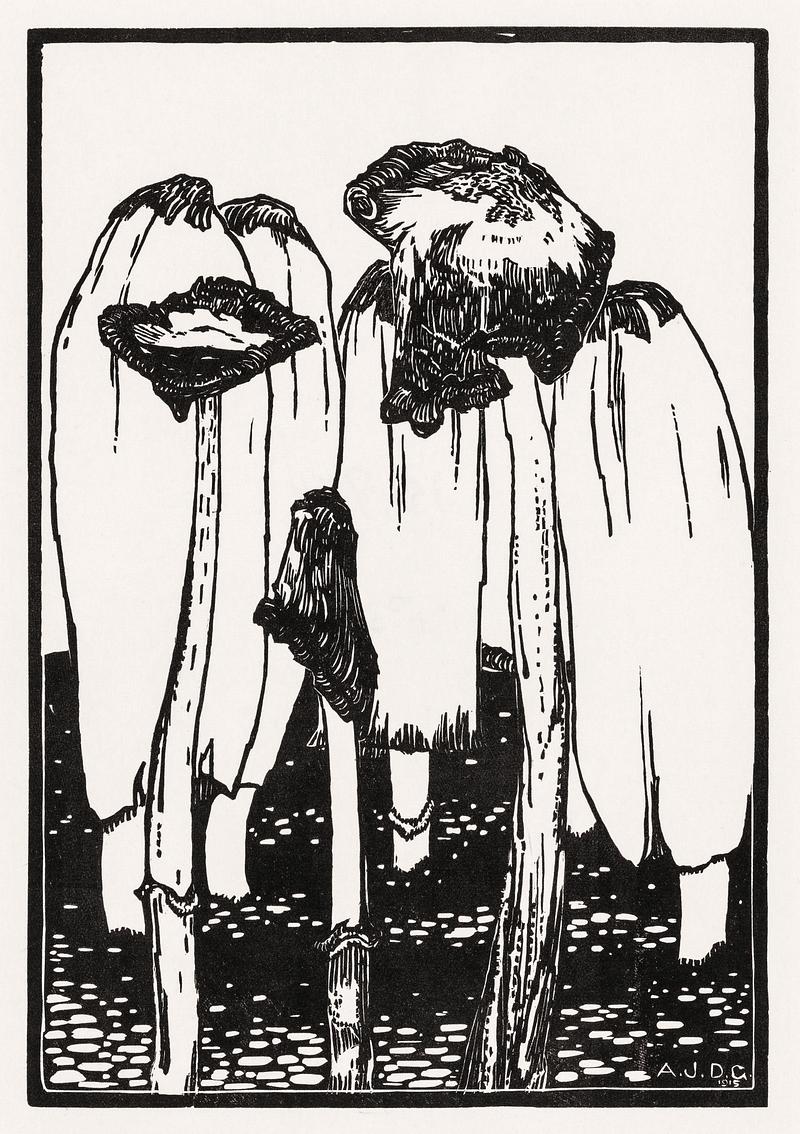Ink mushrooms (1915) by Julie de Graag (1877-1924). Original from the Rijks Museum. Digitally enhanced by rawpixel Ink mushrooms (1915) by Julie de Graag (1877-1924). Original from the Rijks Museum. Digitally enhanced by rawpixel