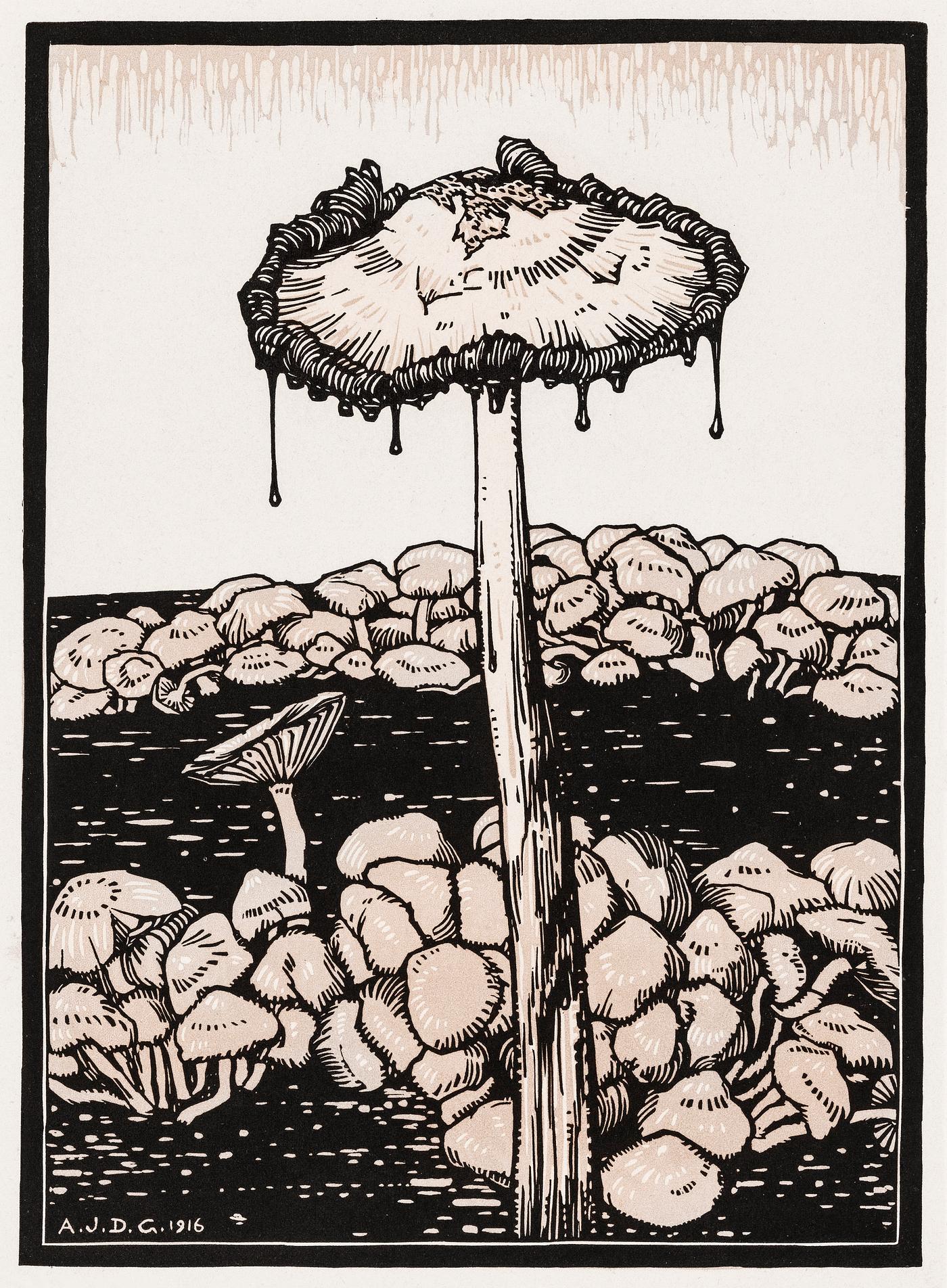 Dripping mushroom (1916) by Julie de Graag (1877-1924). Original from The Rijksmuseum . Digitally enhanced by rawpixel. Dripping mushroom (1916) by Julie de Graag (1877-1924). Original from The Rijksmuseum . Digitally enhanced by rawpixel.