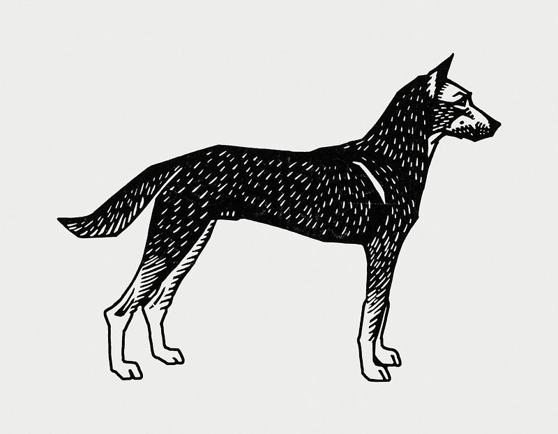 Vintage Illustration of Dog. Vintage Illustration of Dog.