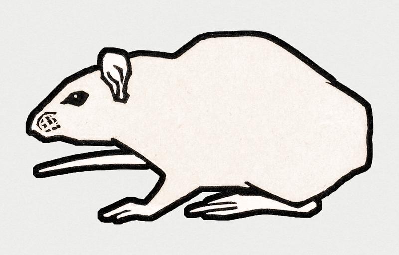 Vintage Illustration of Mouse. Vintage Illustration of Mouse.