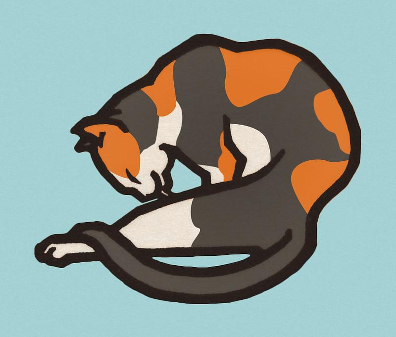 Vintage Illustration of A waxing cat. Vintage Illustration of A waxing cat.