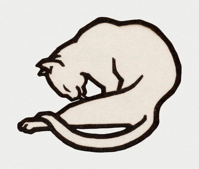 Vintage Illustration of A waxing cat. Vintage Illustration of A waxing cat.