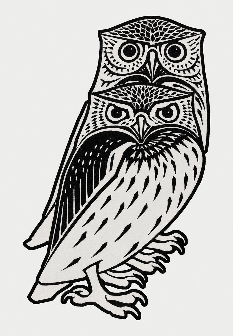 Vintage Illustration of Two owls. Vintage Illustration of Two owls.