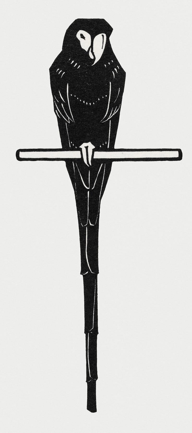 Vintage Illustration of Ara. Vintage Illustration of Ara.