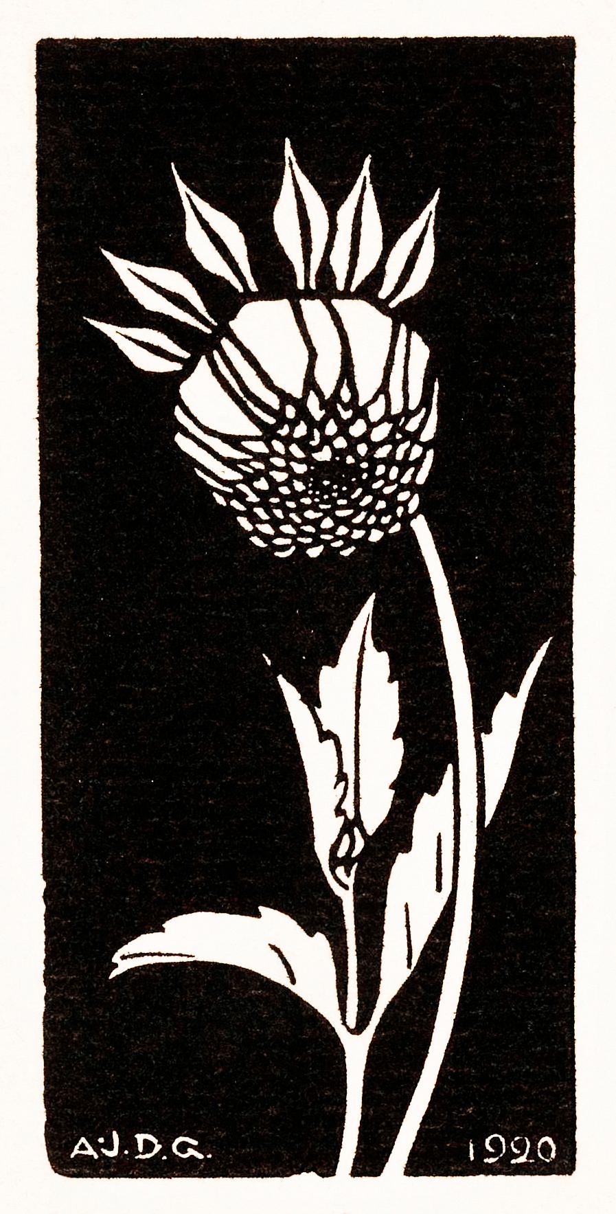 Dahlia (1920) by Julie de Graag (1877-1924). Original from The Rijksmuseum. Digitally enhanced by rawpixel. Dahlia (1920) by Julie de Graag (1877-1924). Original from The Rijksmuseum. Digitally enhanced by rawpixel.