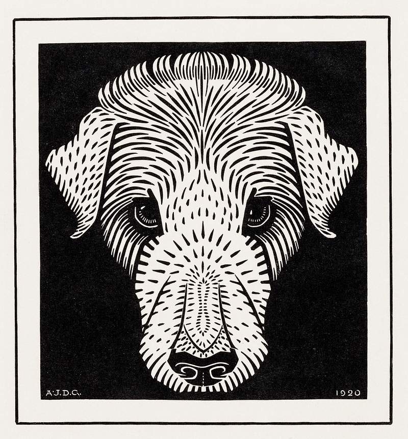 Dog's head (1920) by Julie de Graag (1877-1924). Original from The Rijksmuseum. Digitally enhanced by rawpixel.