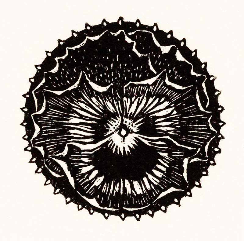 Flower badge by Julie de Graag (1877-1924). Original from The Rijksmuseum. Digitally enhanced by rawpixel.