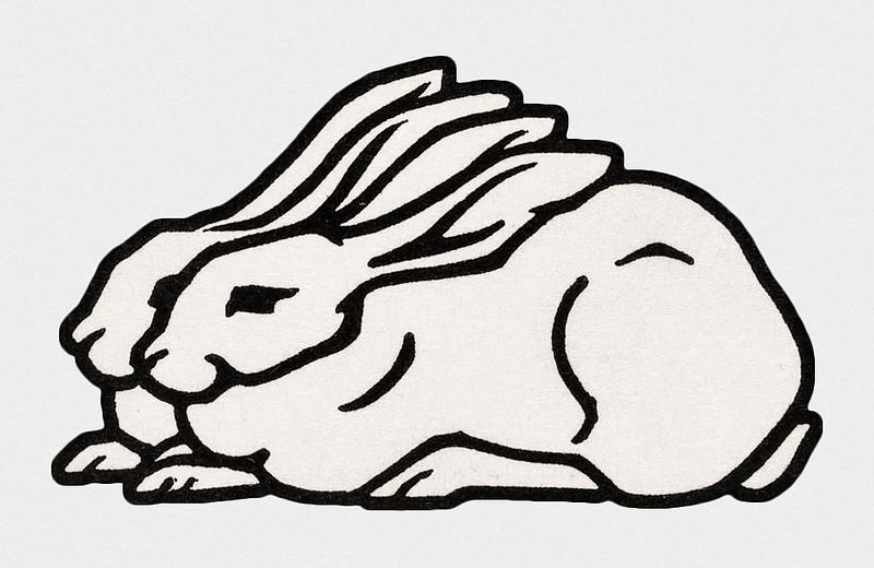 Vintage Illustration of Two rabbits. Vintage Illustration of Two rabbits.