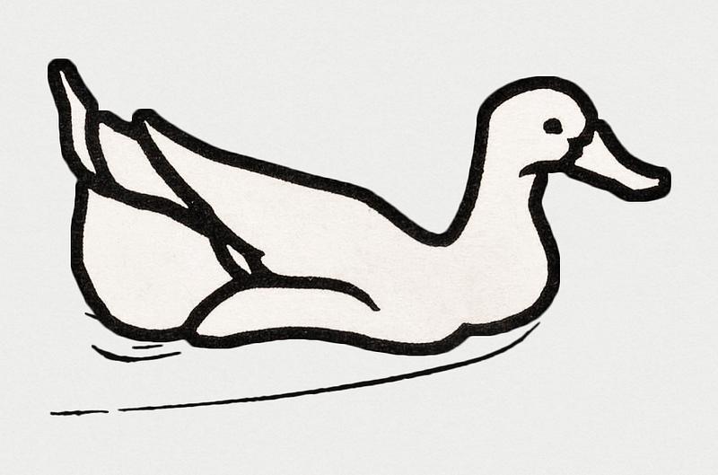 Vintage Illustration of Swimming duck. Vintage Illustration of Swimming duck.