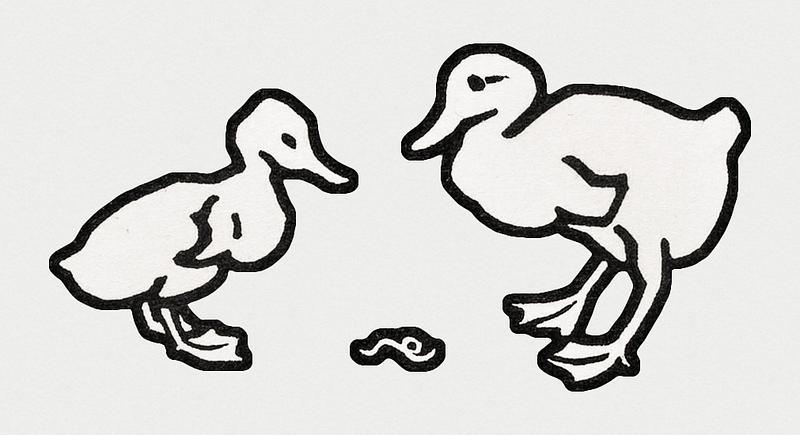 Vintage Illustration of Two ducklings. Vintage Illustration of Two ducklings.
