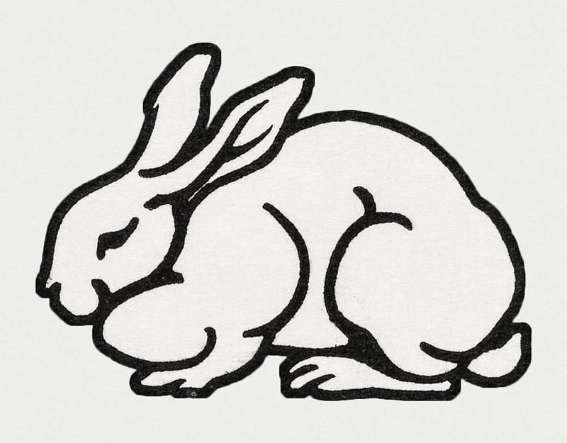 Vintage Illustration of Rabbit. Vintage Illustration of Rabbit.
