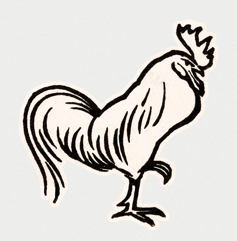 Vintage Illustration of Rooster. Vintage Illustration of Rooster.