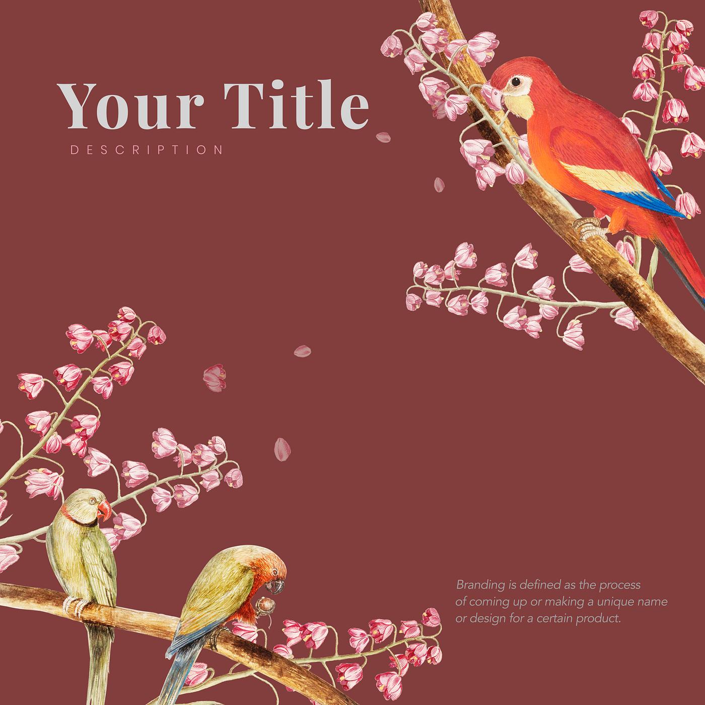 Vintage parrots and nature concept border illustration Vintage parrots and nature concept border illustration