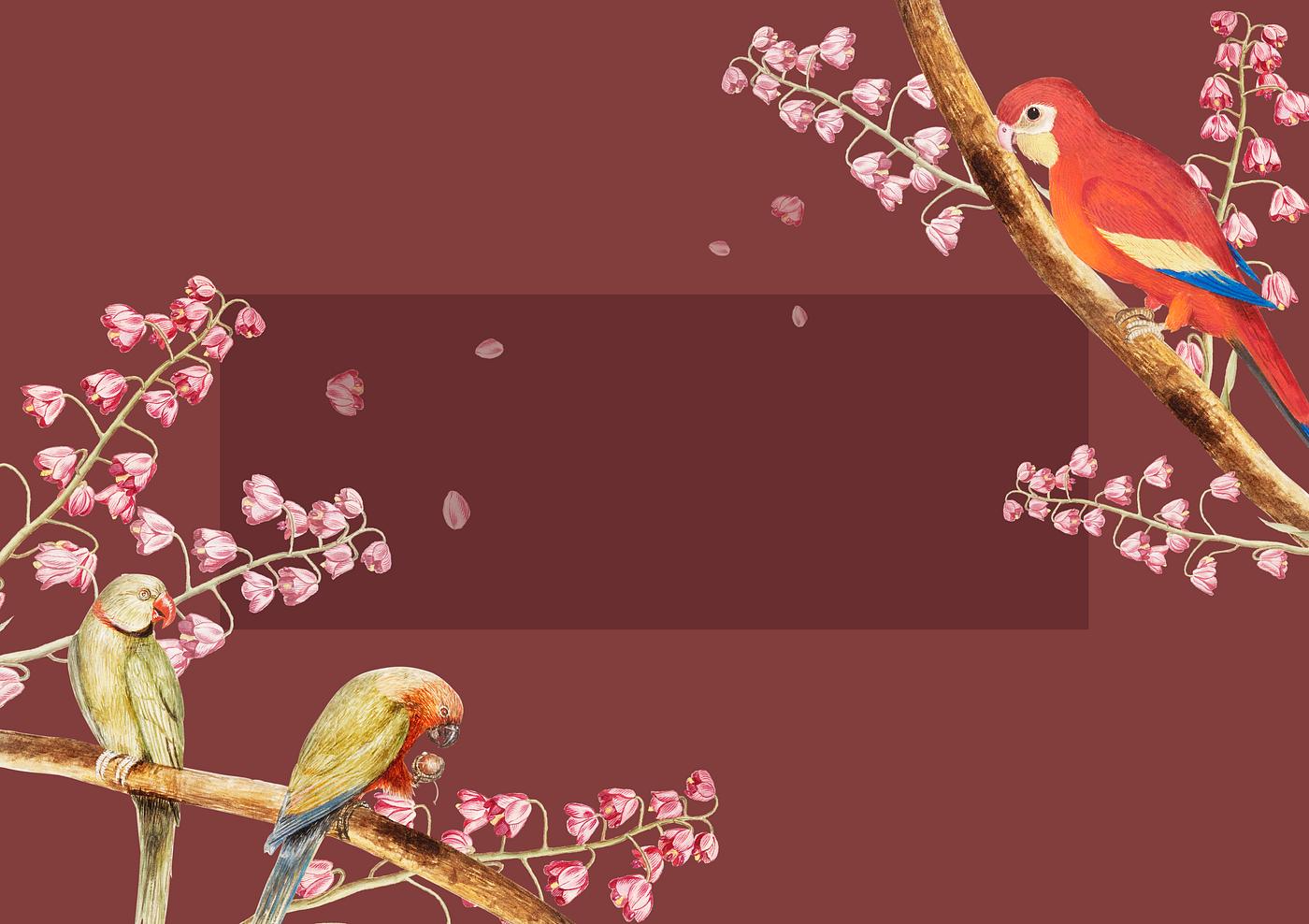 Vintage parrots and nature concept border illustration Vintage parrots and nature concept border illustration