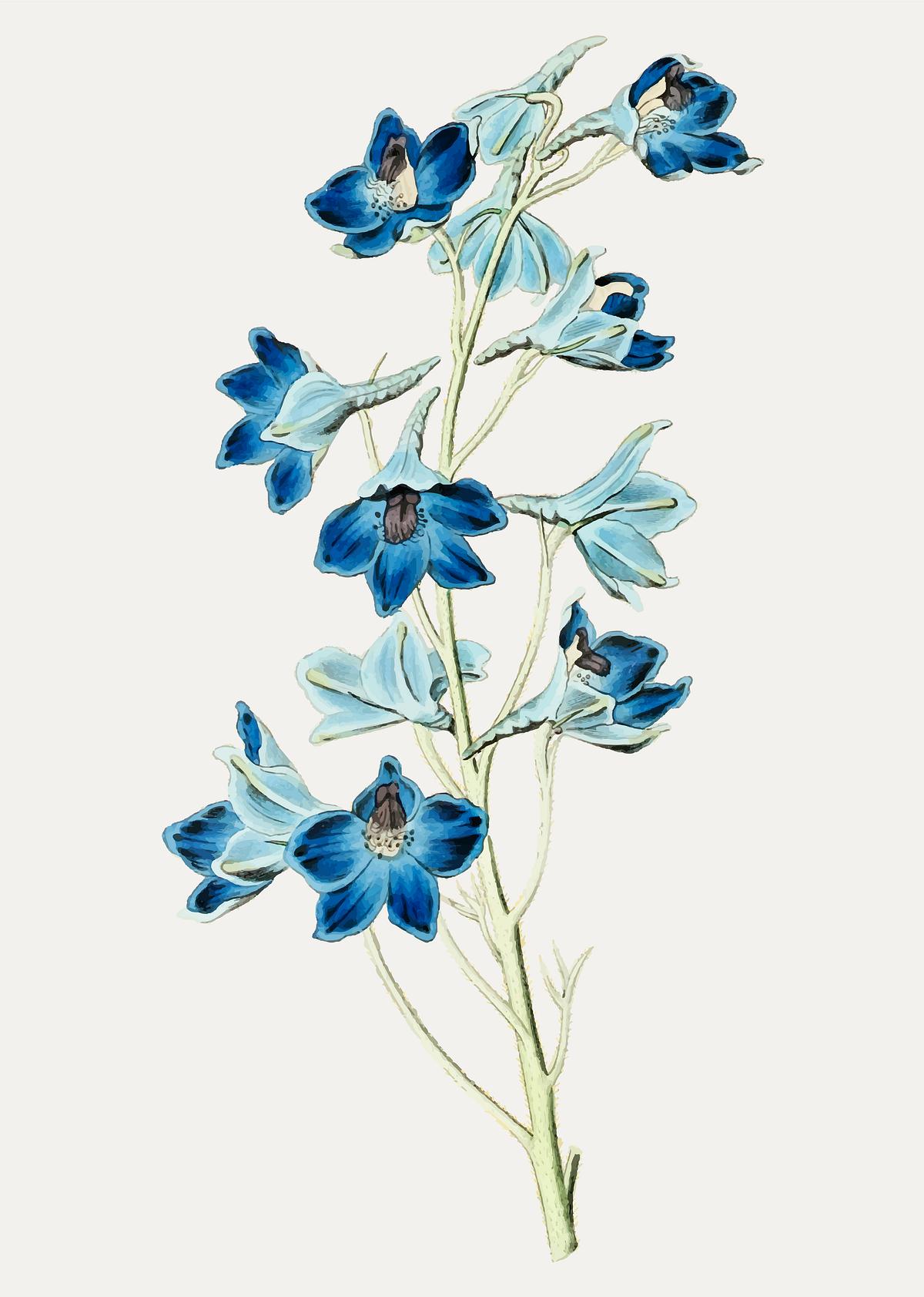 Blue flower branch | Free stock vector - 559104
