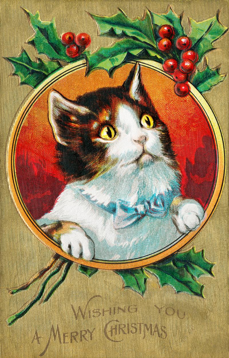 Cat on a Christmas card design Wishing you a Merry Christmas (1910) from The Miriam And Ira D. Wallach Division Of Art, Prints and Photographs: Picture…