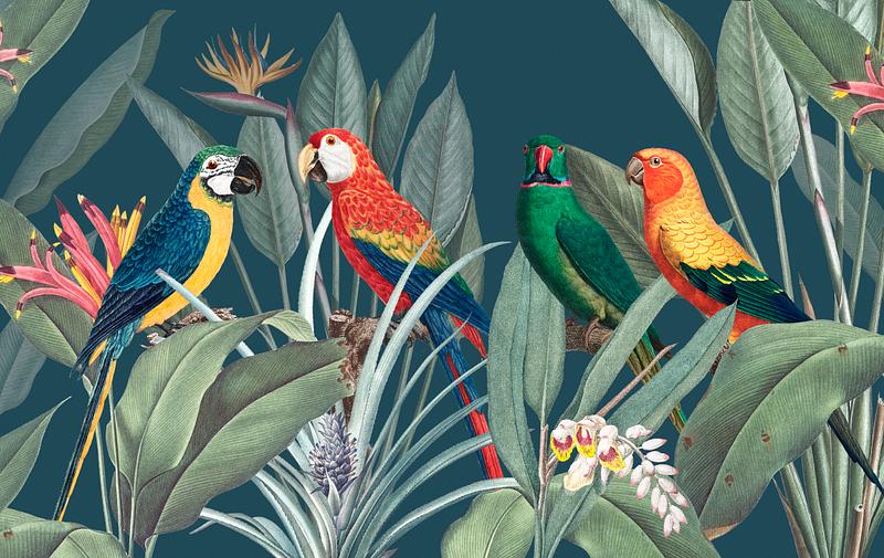 Tropical parrots Colorful macaws with tropical background illustration
