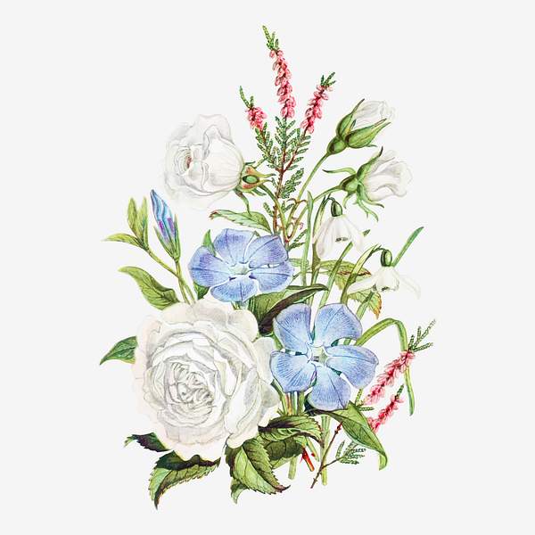 Beautiful Flower Bouquet Royalty Free Vector 2100003