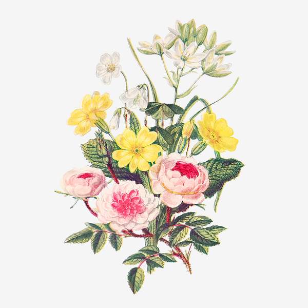 Beautiful Flower Bouquet Royalty Free Vector 2100000