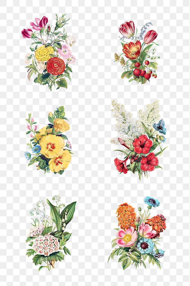 Beautiful Flower Bouquet Template Royalty Free Stock Illustration 2097653