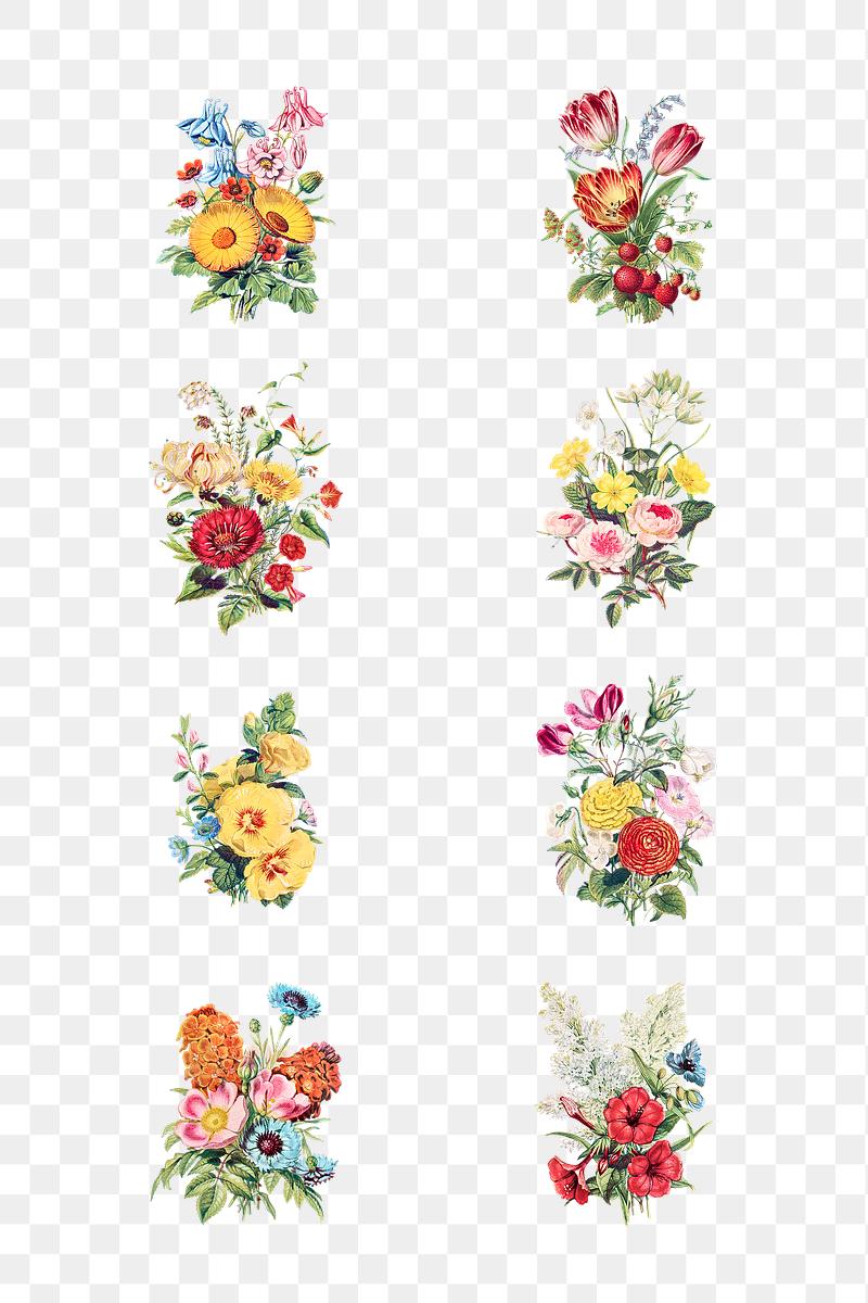 Beautiful Flower Bouquet Template Royalty Free Stock Illustration 2097653