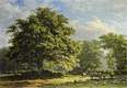 View in the Bentheim Forest by <a href="https://www.rawpixel.com/search/George%20Andries%20Roth?sort=curated&amp;type=all&amp;page=1">George Andries Roth</a> Original from the Rijksmuseum. Digitally enhanced by rawpixel.