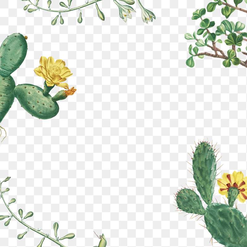 Hand Drawn Cactus And Succelent Frame Illustration Royalty Free Illustration 2365102